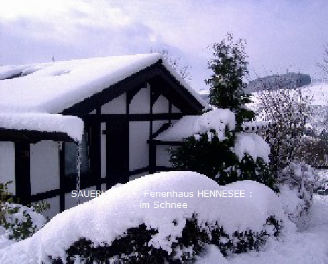  Ferienhaus HENNESEE  im Schnee