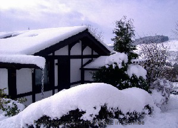 Ferienhaus HENNESEE im Schnee