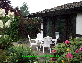 Ferienhaus  *** Hennesee ***  Terrasse